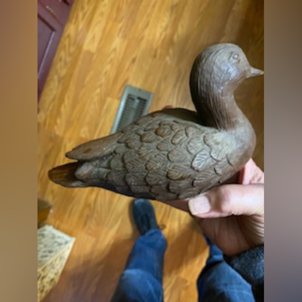 Duck Decor